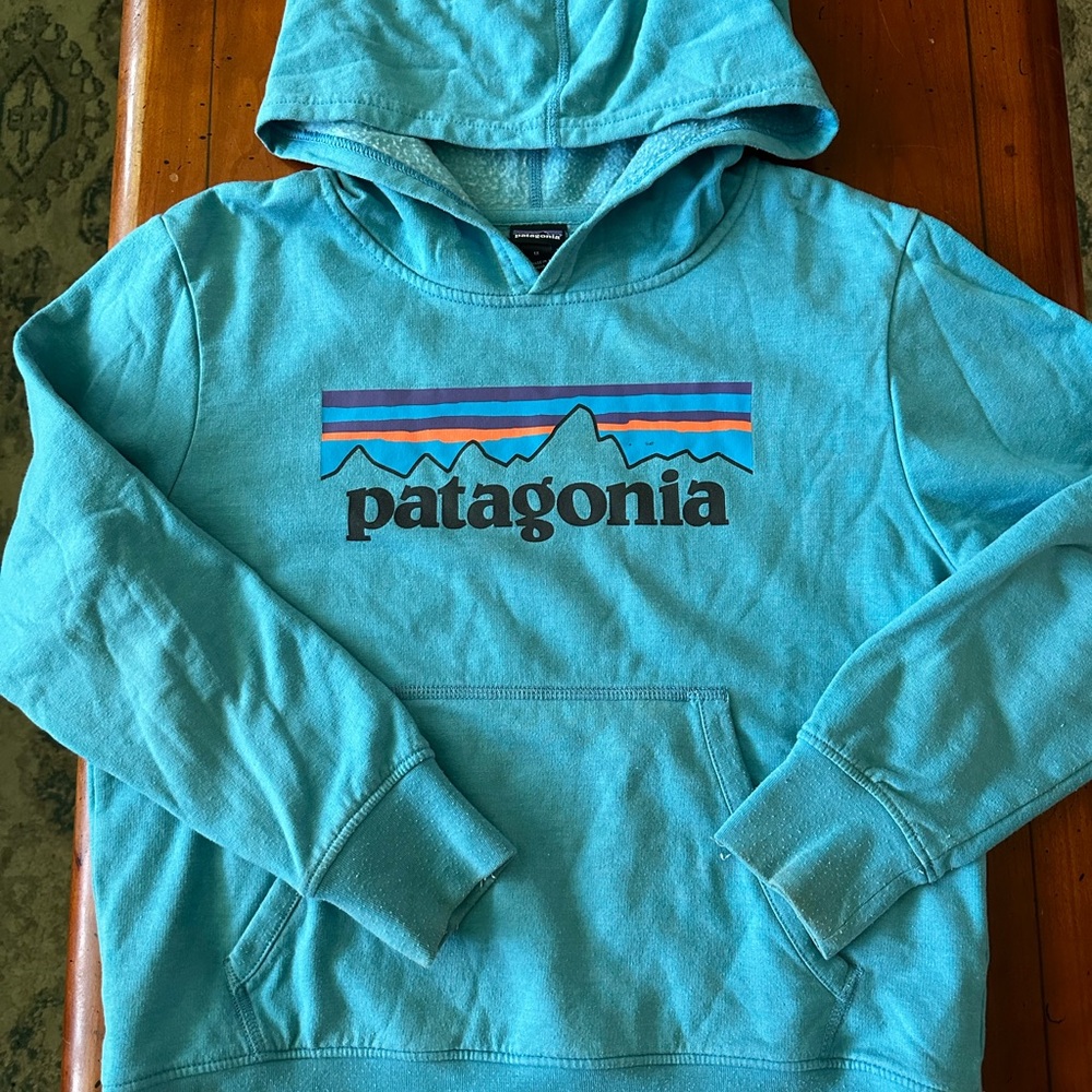 Patagonia Boys M Teal Hoodie